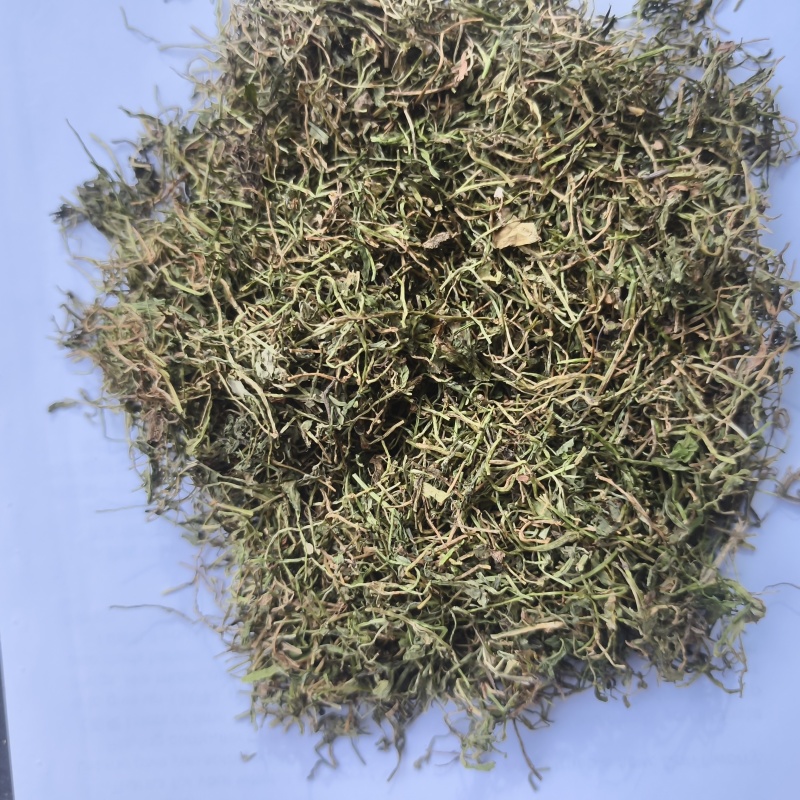 半边莲半边莲新货青色实物拍摄产地河南紫轩堂药业