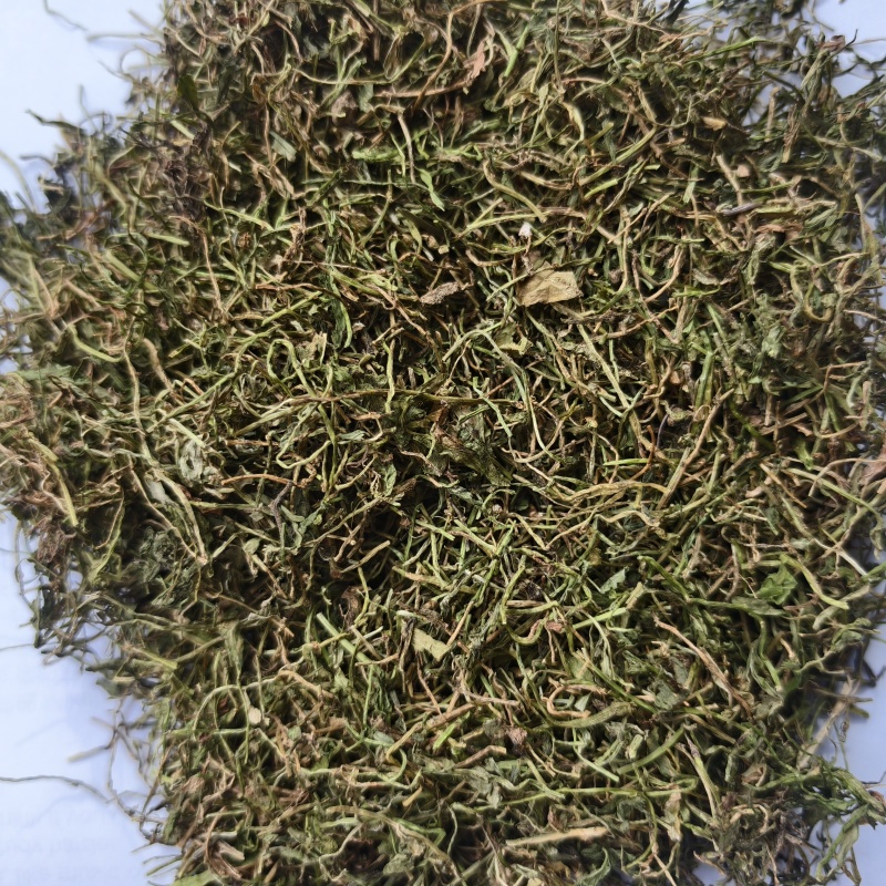 半边莲半边莲新货青色实物拍摄产地河南紫轩堂药业