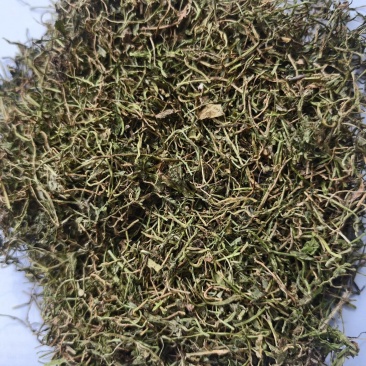 半边莲半边莲新货青色实物拍摄产地河南紫轩堂药业