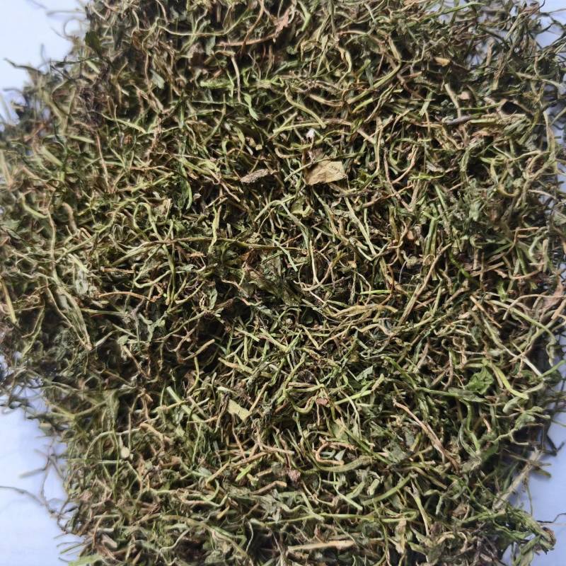 半边莲半边莲新货青色实物拍摄产地河南紫轩堂药业
