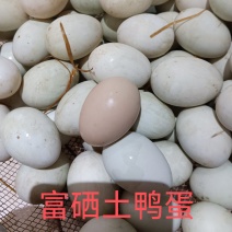恩施富硒纯玉米全天野外放养儿童老人孕妇吃有机新鲜土鸭蛋