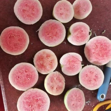 红宝石芭乐（少籽）