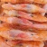 纯淡干盐田烤虾全规格。原料充足，现货2万多箱
