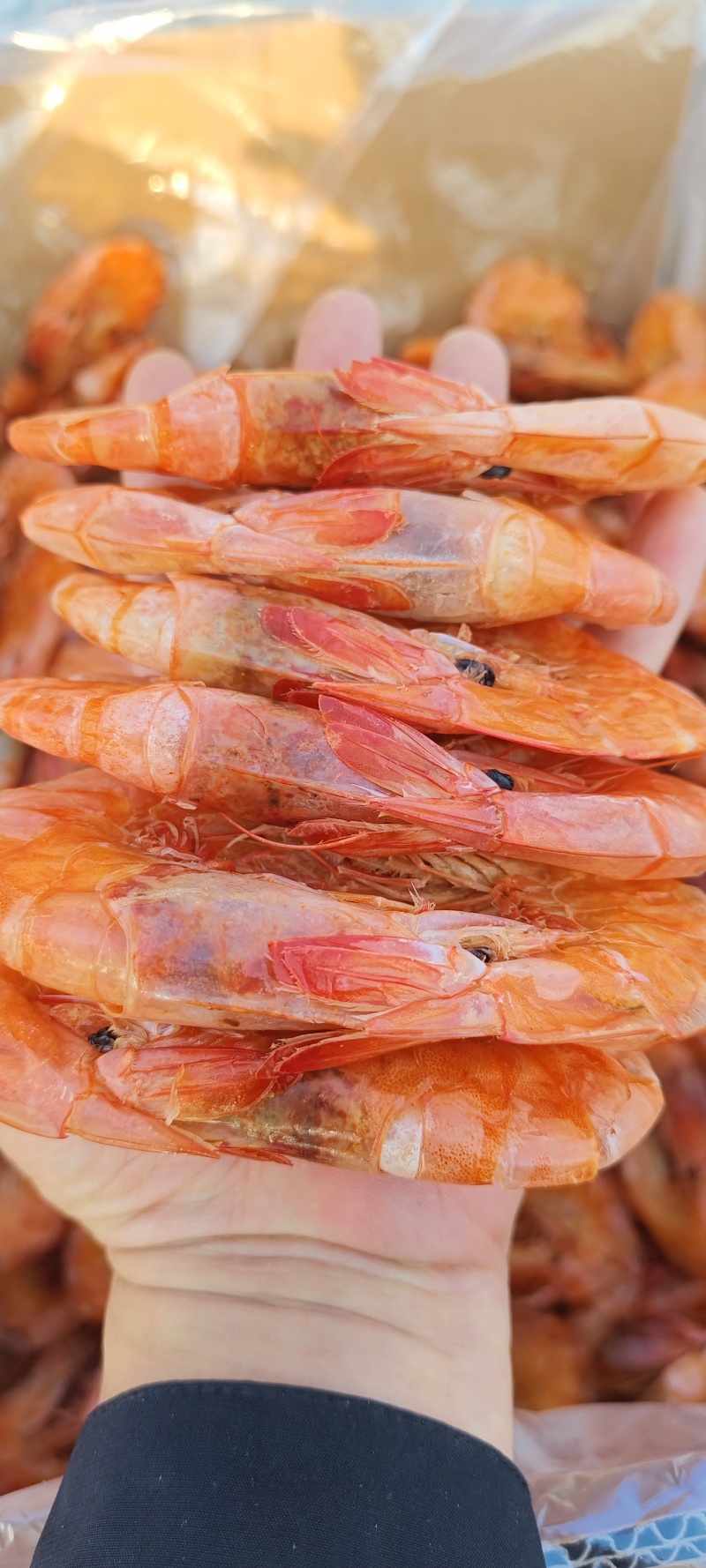 纯淡干盐田烤虾全规格。原料充足，现货2万多箱