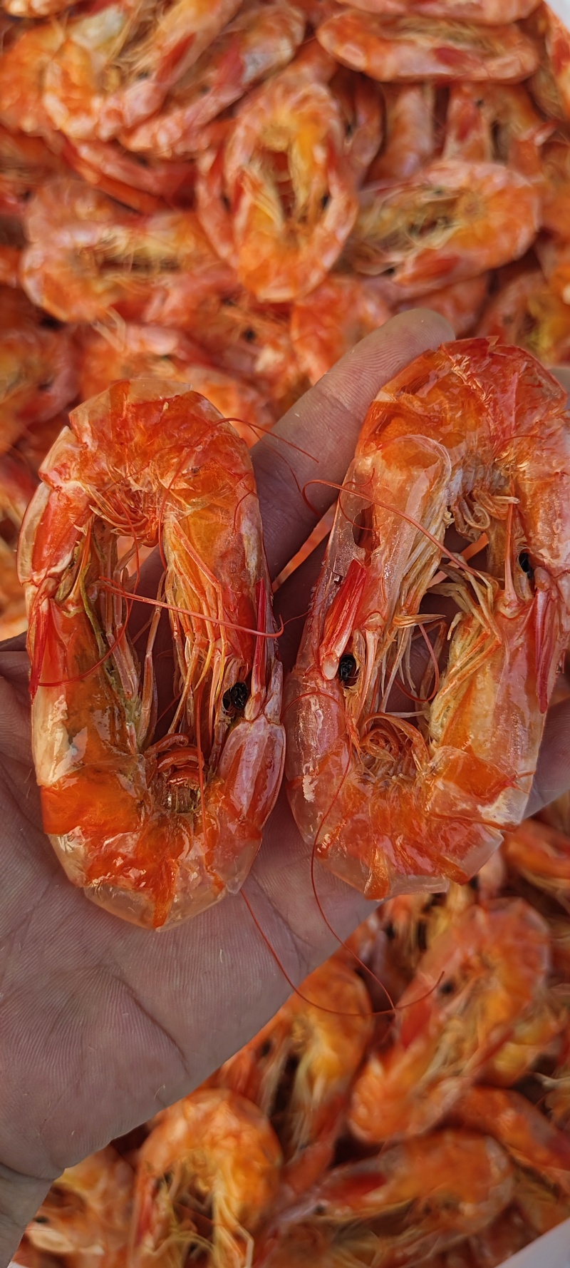 纯淡干盐田烤虾全规格。原料充足，现货2万多箱