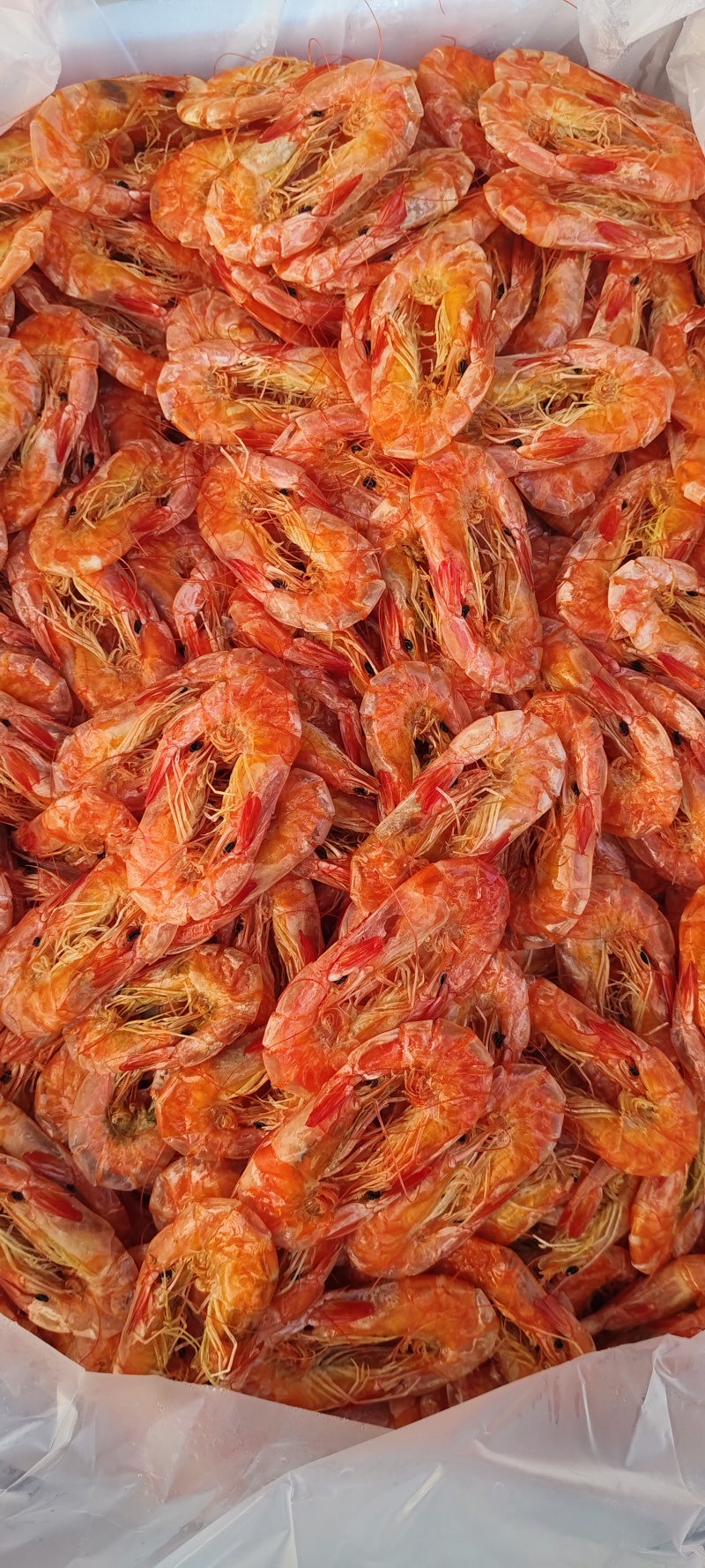 纯淡干盐田烤虾全规格。原料充足，现货2万多箱