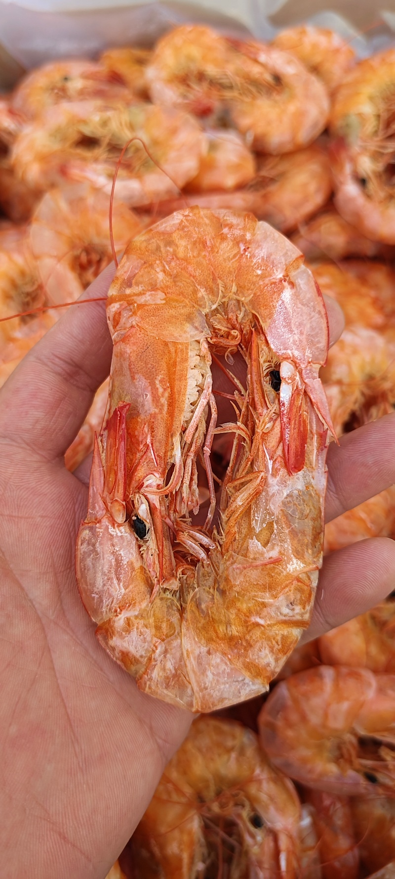 纯淡干盐田烤虾全规格。原料充足，现货2万多箱