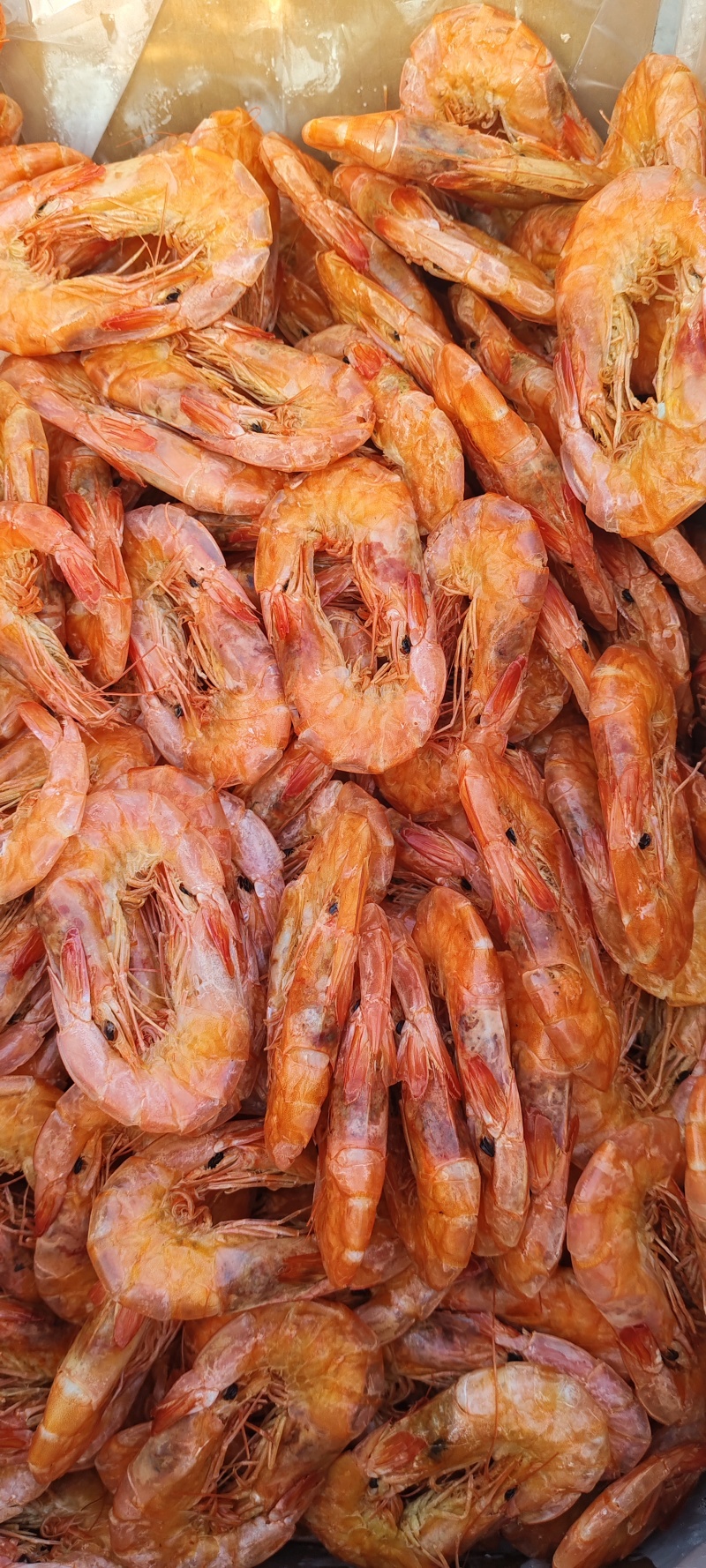 纯淡干盐田烤虾全规格。原料充足，现货2万多箱