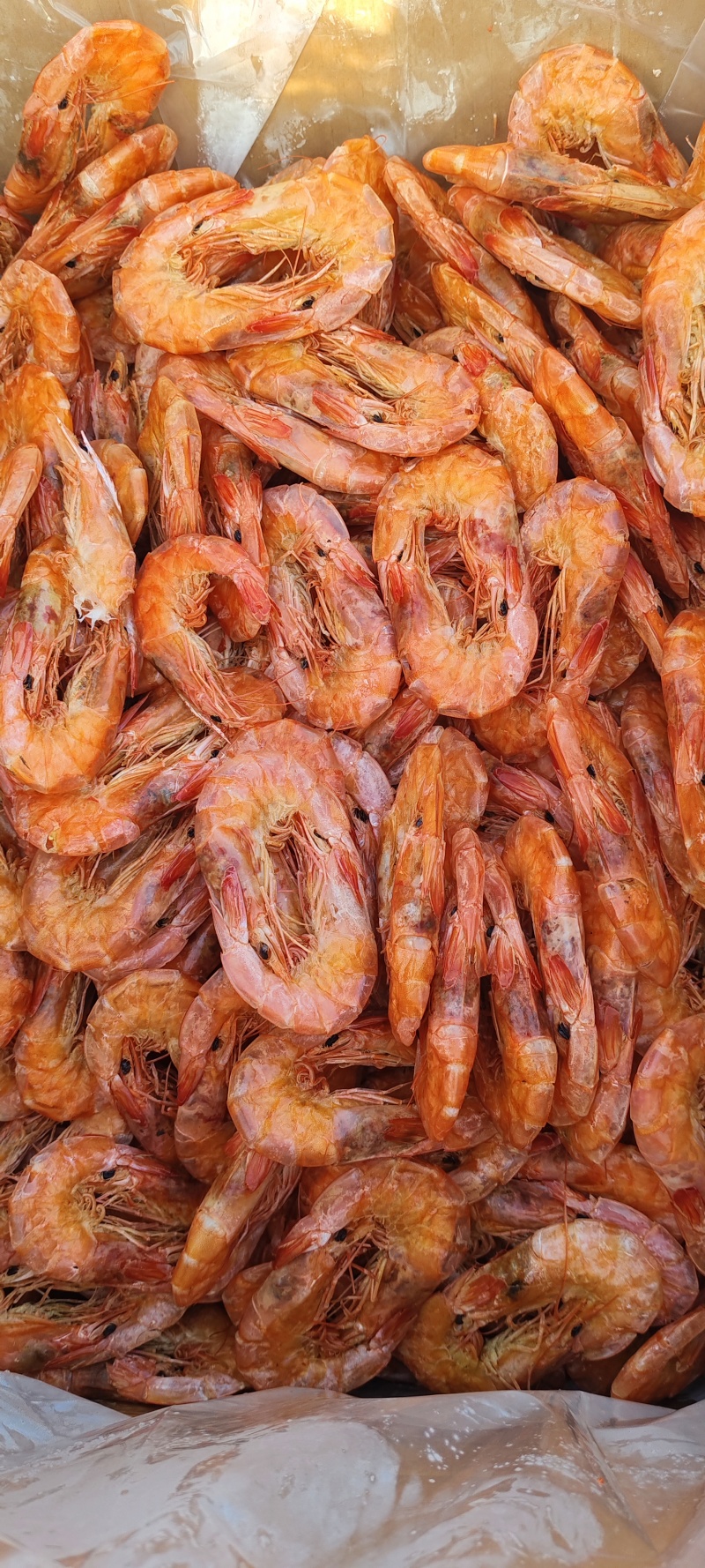 纯淡干盐田烤虾全规格。原料充足，现货2万多箱