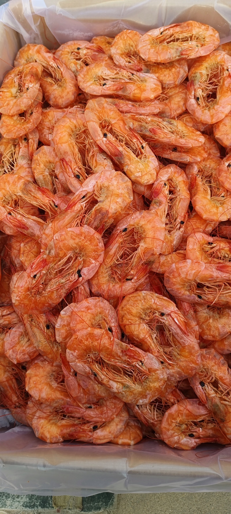 纯淡干盐田烤虾全规格。原料充足，现货2万多箱
