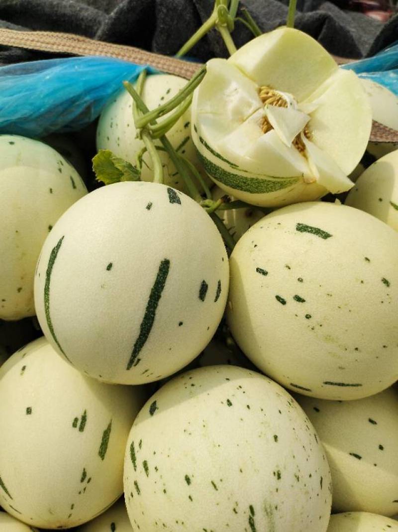 蜜露流星甜瓜通货电商精品商场超市，赶集/社区团购