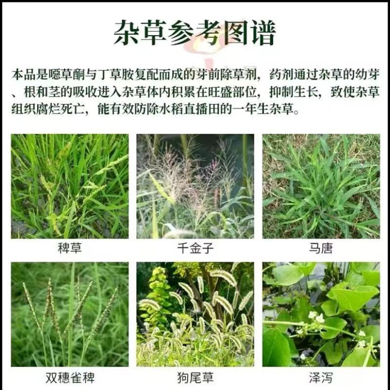 中迅水溶球48%异噁·丙·丙炔水稻移栽抛秧机插封闭水溶