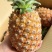 精品菠萝🍍金钻凤梨、香甜可口饱满多汁货源保障充足