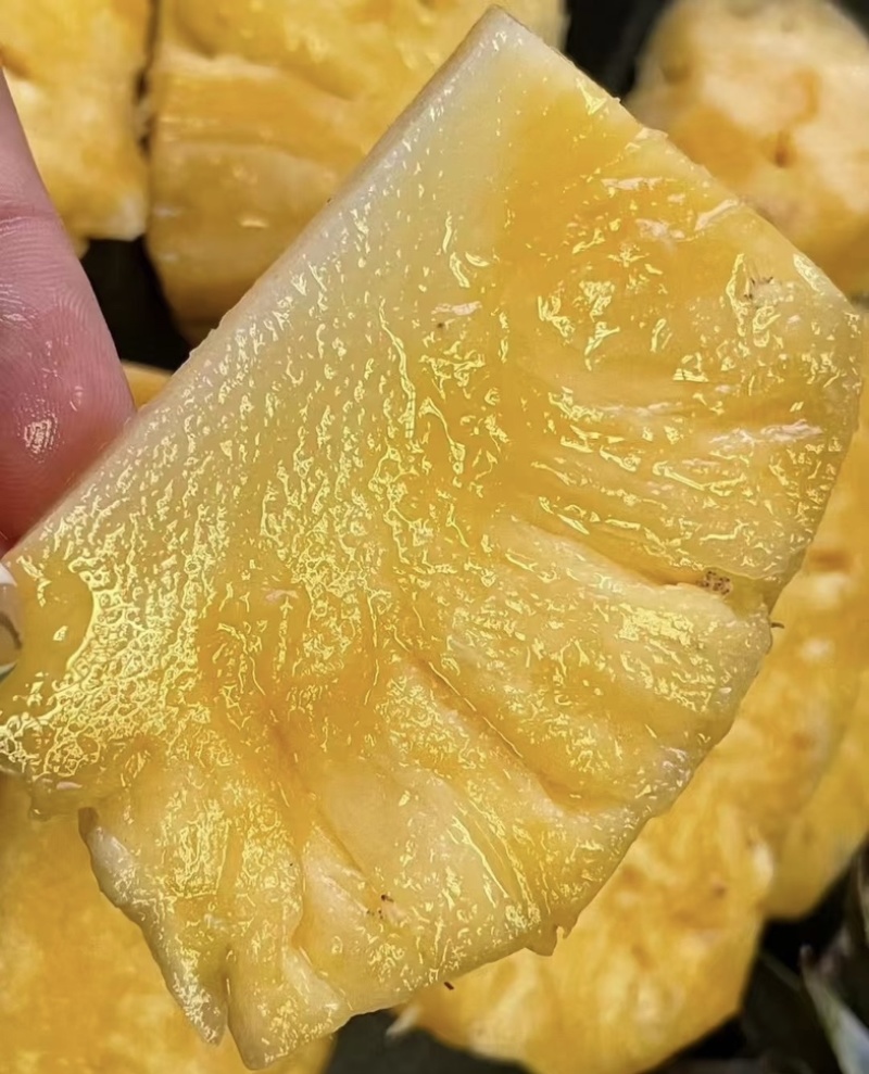 精品菠萝🍍金钻凤梨、香甜可口饱满多汁货源保障充足