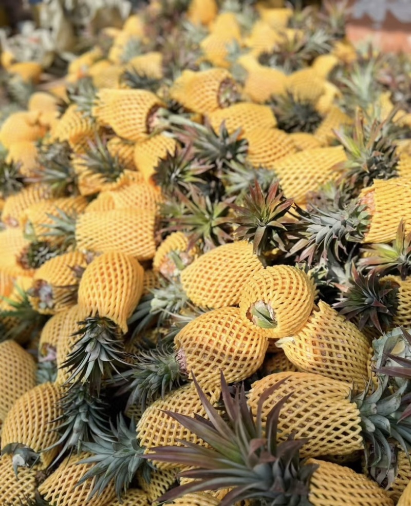 精品菠萝🍍金钻凤梨、香甜可口饱满多汁货源保障充足