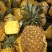 精品菠萝🍍金钻凤梨、香甜可口饱满多汁货源保障充足