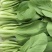 上海青精品油菜小颗青菜中颗青菜大颗青菜