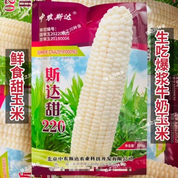 斯达甜220甜玉米种子冰糖爆浆牛奶玉米种子超甜水果玉米种