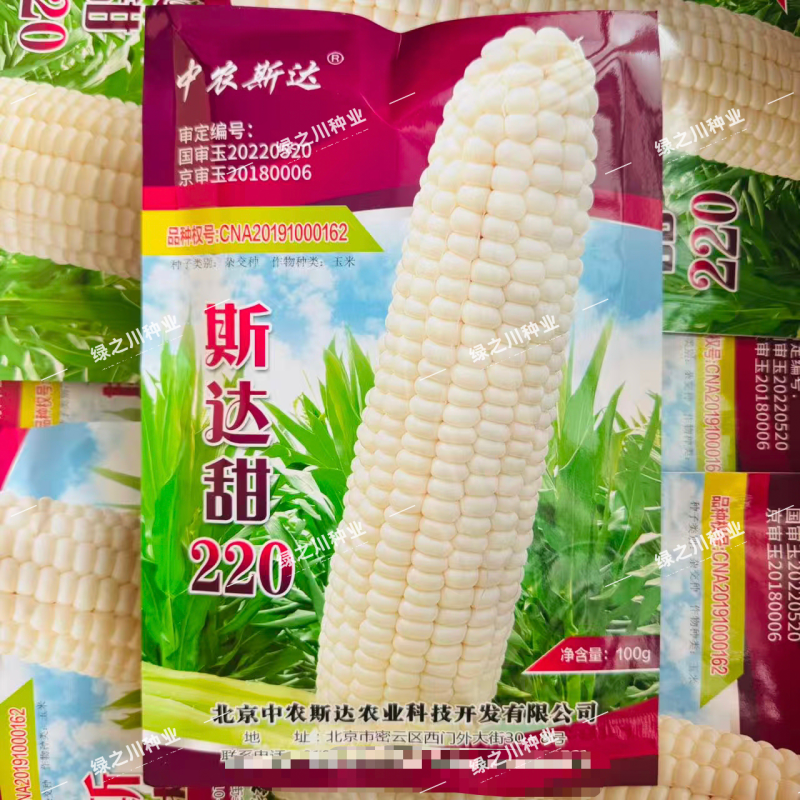 斯达甜220甜玉米种子冰糖爆浆牛奶玉米种子超甜水果玉米种