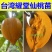 新品种耀堂仙桃苗正宗带土带叶树苗南北方种植带土带叶发货