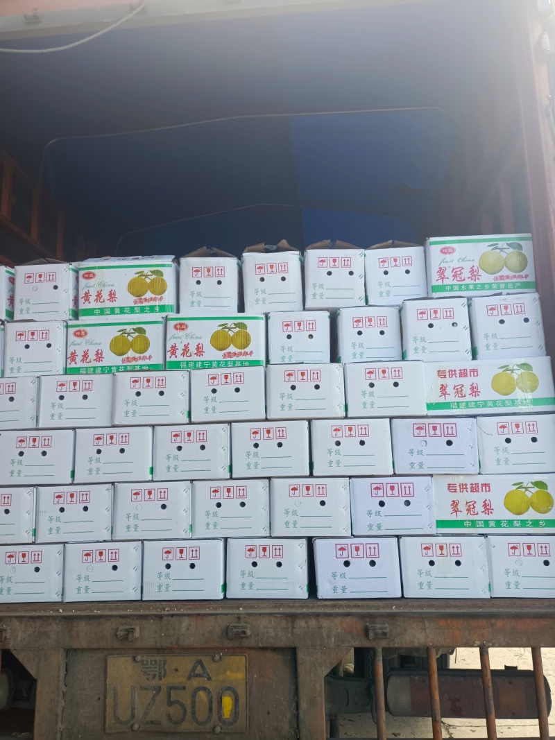 湖北钟祥华梨，精品货源，当天下树发货保证保量，市场商超均