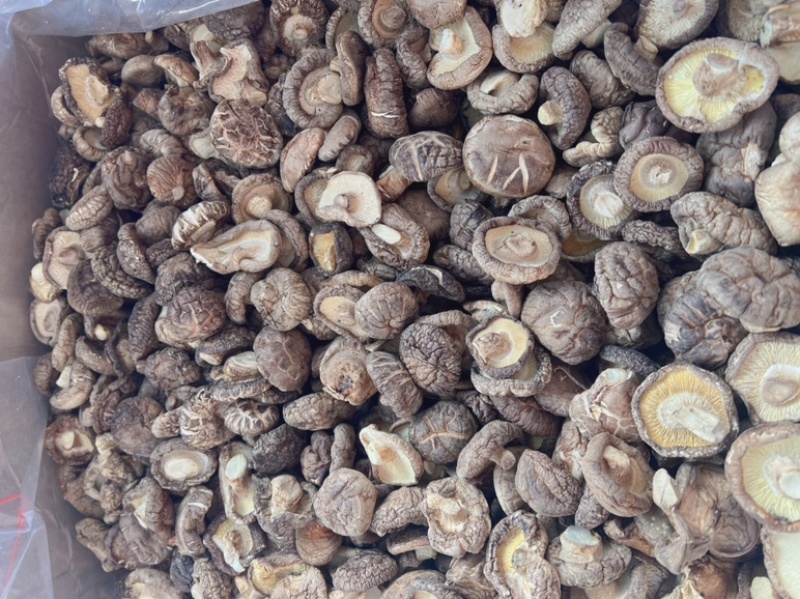 香菇干地摊电商批发香菇干椴木小香菇特产香菌菇蘑菇