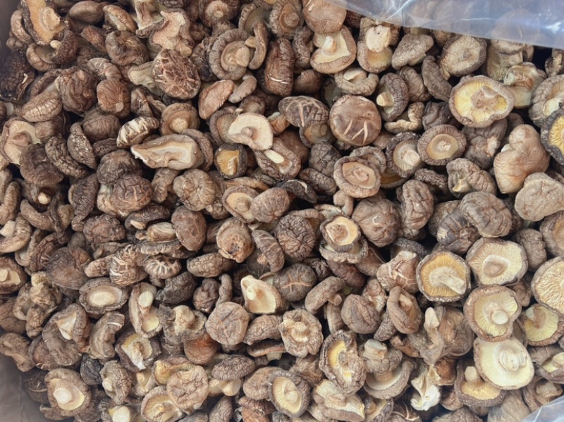 香菇干地摊电商批发香菇干椴木小香菇特产香菌菇蘑菇