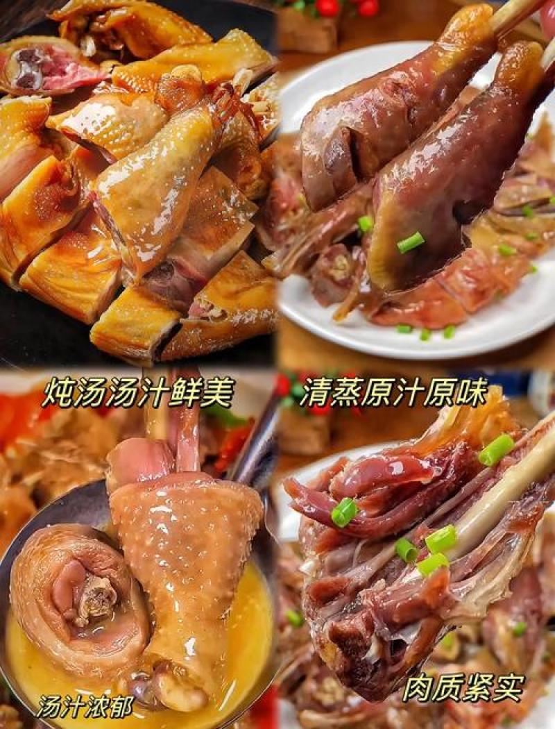 荆门风干鸡咸香腊味肉质紧实真空包装切块腌制传统腊货十里无