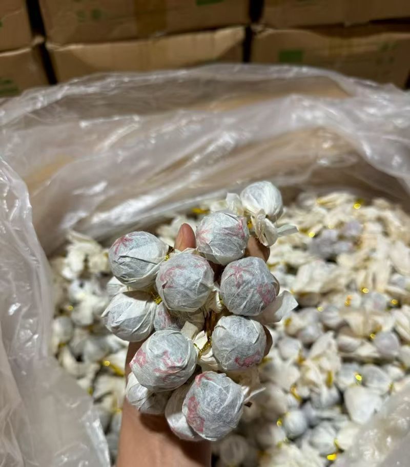 云南普洱茶