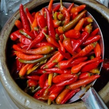 老家土坛子泡酱腌菜泡椒