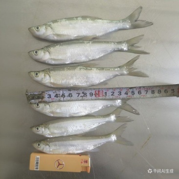 《原产地直供》翘嘴鱼刁子鱼翘嘴白鱼冻品