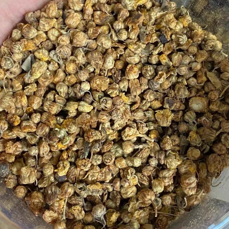 正宗野菊花中药材野生胎菊2025年新货自然晒干无硫可做