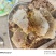 正宗野蜂蜜自己家养的，***没加糖，原巢蜜