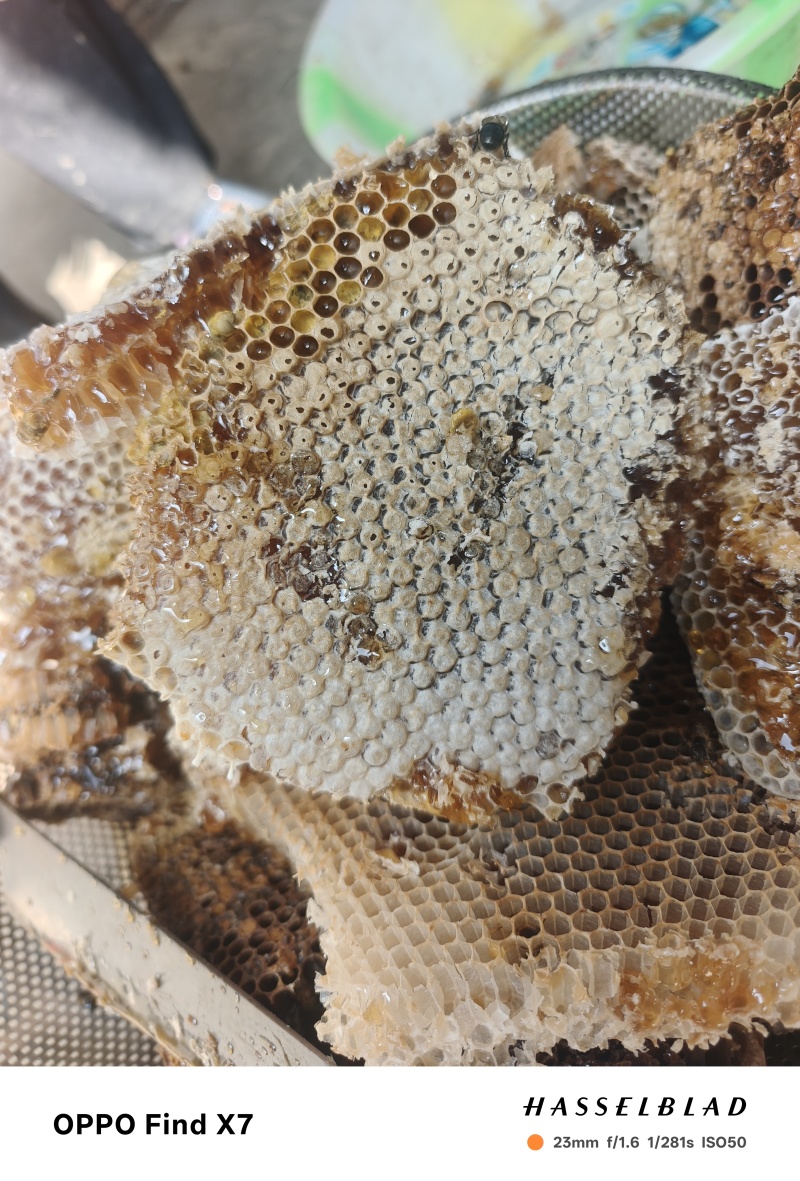 正宗野蜂蜜自己家养的，***没加糖，原巢蜜