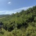 天然野生北纬47度黑土地黑龙江野生黑松露