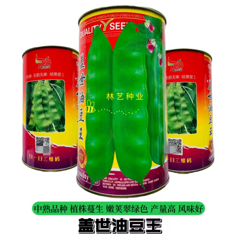 盖世油豆王豆角种子结荚多无筋产量高开锅就烂口感细腻大