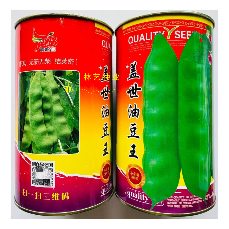 盖世油豆王豆角种子结荚多无筋产量高开锅就烂口感细腻大