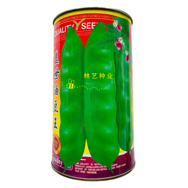 盖世油豆王豆角种子结荚多无筋产量高开锅就烂口感细腻大