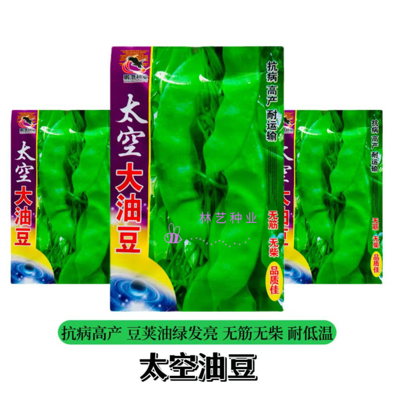 东北太空大油豆角种子农家菜园棚室春夏秋季厚肉扁片豆角
