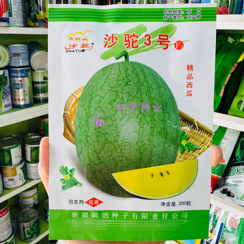 沙陀3号西瓜种子圆形皮淡绿色瓜瓤黄色早熟**西瓜品种
