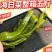 海白菜大连盐渍裙带梗电商一件代发酱菜厂