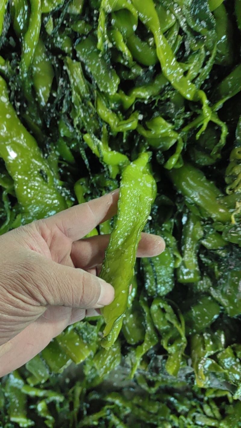 海白菜大连盐渍裙带梗电商一件代发酱菜厂