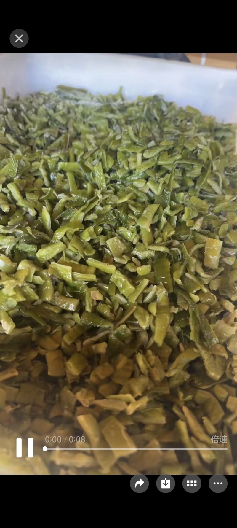 海白菜大连盐渍裙带梗电商一件代发酱菜厂