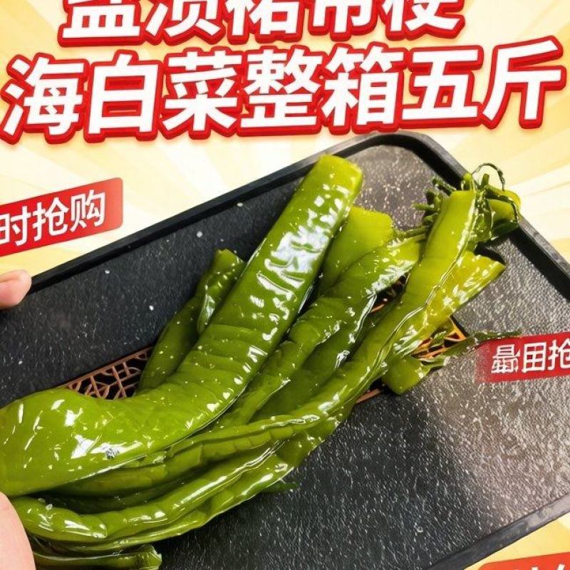 海白菜大连盐渍裙带梗电商一件代发酱菜厂