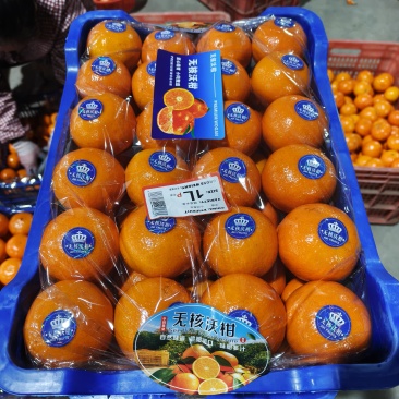 广西精品沃柑种植基地现摘现发多种规格可选高品质