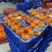 广西精品沃柑种植基地现摘现发多种规格可选高品质