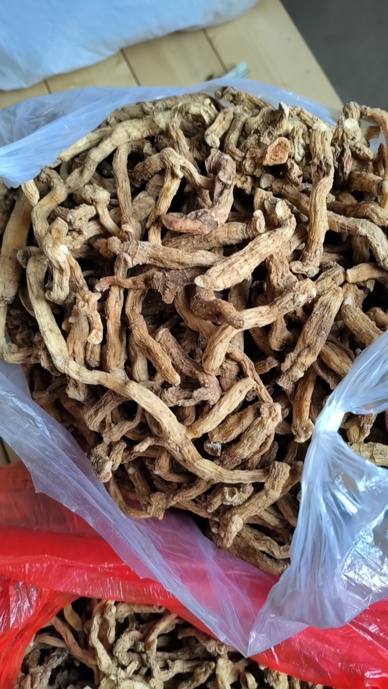 玉竹条