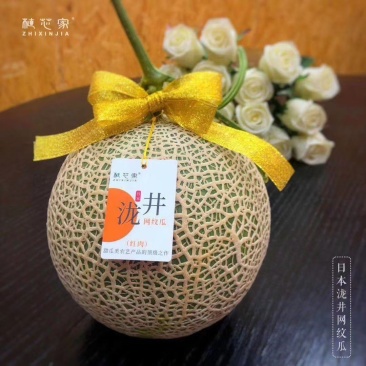 #日本泷井甜瓜#台湾农友甜瓜