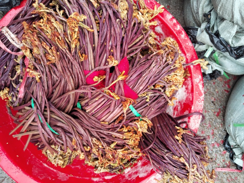 各种蕨菜半成品