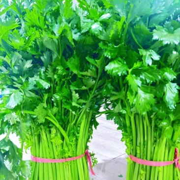 有机农庄，绿色认证，有机蔬菜，支持各项检测